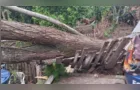 RS entra em alerta para colapso de barragem e inundação de rios