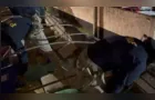PRF apreende quase sete toneladas de maconha em carreta na BR-376