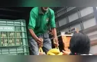 Feira Verde estará no 'Borato' e em mais 14 vilas de Ponta Grossa; veja sua rua
