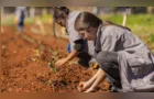 Colégio Agrícola divulga aprovados para ingresso em 2027