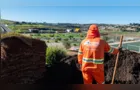 Prefeitura participa de plantio de cerca de 300 mudas nativas no Lago de Olarias
