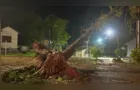 Temporal causa destruição e deixa casas destelhadas em municípios do Paraná