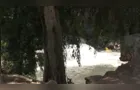 Corpo de homem é encontrado dentro de rio em Curitiba