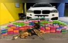 Polícia Rodoviária Federal apreende 136 quilos de cocaína em BMW na BR-277