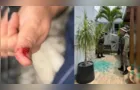 Macaco-prego invade condomínio, ingere álcool e remédios e ataca moradores na Bahia