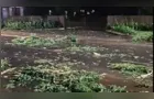 Fortes ventos causam destelhamentos e mobilizam equipes em Ipiranga