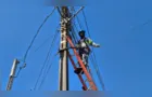 Copel retira uma tonelada de fios irregulares de postes em Palmeira