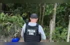 Três corpos carbonizados em Santa Catarina podem ser de irmãos