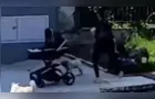 Polícia Civil responsabiliza tutora após ataque de cães a mulher com carrinho de bebê
