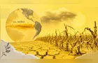 El Niño traz risco para produtividade de milho e arroz em 2027, diz BC