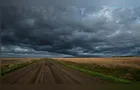 Chuvas contínuas no Paraná prejudicam o andamento das lavouras