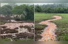 Chuvas passam de 200 mm e alagam lavouras no Oeste do Paraná