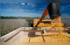 Crédito rural empresarial atinge R$ 107,1 bi no 1º trimestre da safra 26/27