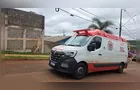 Criança morre após ser atacada por pit bull no quintal de casa em Apucarana