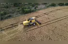 El Niño atrasa plantio de soja e colheita de trigo no Paraná