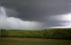 El Niño causa R$ 860 milhões em prejuízos no Paraná