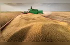 El Niño pode reduzir produção brasileira de soja em quase 10%
