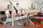 Exportações de frango do Paraná crescem 20% entre janeiro e julho