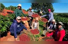 Feira da Agroindústria Familiar no Paraná valoriza protagonismo feminino