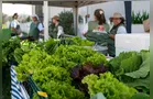 Ponta Grossa abre chamamento para agricultores e entidades no PAA