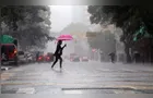 Chuva passa de 50 mm em Ponta Grossa e chega a quase 70 mm nos Campos Gerais