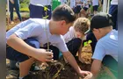 IAT promove educação ambiental e distribuição de mudas para a Semana da Árvore