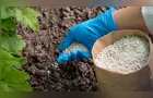 Importação de fertilizantes deve cair até 12% mesmo com safra maior