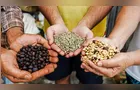 Inscrições para o Concurso Café Qualidade Paraná entram na reta final
