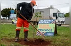 Prefeitura amplia plantio de árvores em diferentes regiões de Ponta Grossa