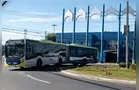 Transporte coletivo será gratuito no dia da eleição em Ponta Grossa