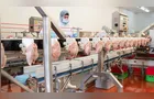 Paraná amplia liderança nacional na produção de carne de frango