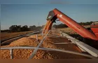 Paraná deve produzir 47,1 milhões de toneladas de grãos na safra 26/27