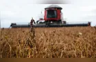Paraná lidera avanço no plantio de soja no país, que atinge 1,2%