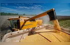 Paraná projeta safra de grãos de 44,17 milhões de toneladas em 2026/27