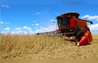 Paraná sobe para o 4º lugar nacional em Valor de Produção Agrícola
