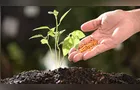 Queda na importação de fertilizantes acende alerta para safrinha