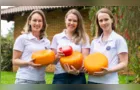 Produtores de Carambeí recebem certificação Selo ARTE para comerciar produtos