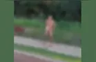 Homem nu é flagrado caminhando pelas ruas de Toledo; confira vídeo