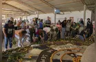 12ª Feira de Sementes Crioulas reúne agricultura familiar e cultura em Palmeira