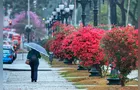 Chuva volta ao Paraná nesta sexta e permanece até terça-feira, prevê Simepar
