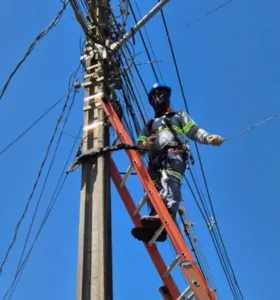 Copel retira uma tonelada de fios irregulares de postes em Palmeira