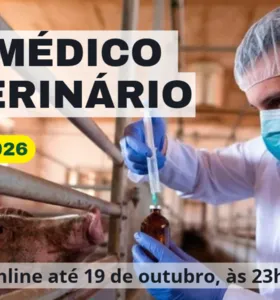 Inscrições para PSS de Médico Veterinário em Tibagi começam nesta terça