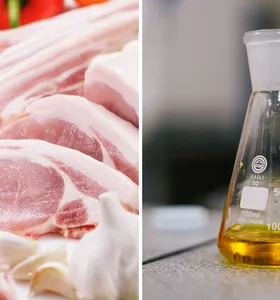 Boletim Agro reúne notícias sobre carne suína e etanol no Paraná
