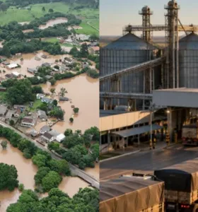 Boletim destaca impactos da chuva e força das cooperativas da região
