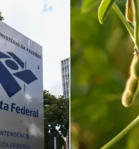 Boletim Agro destaca prazo do ITR e avanço do plantio de soja no PR