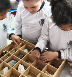 Quarto ano de Ortigueira investiga rochas e minerais em aula prática