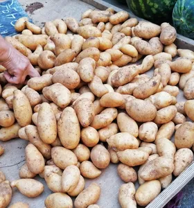 Batata fica 69,1% mais cara no varejo do Paraná em setembro