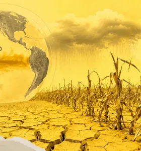 El Niño traz risco para produtividade de milho e arroz em 2027, diz BC