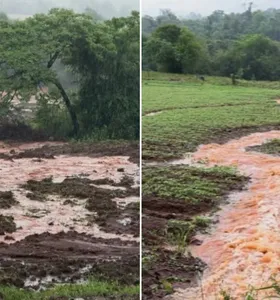 Chuvas passam de 200 mm e alagam lavouras no Oeste do Paraná