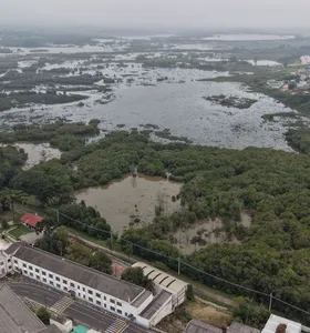 Após trégua na chuva, nível do Rio Iapó segue diminuindo em Castro